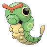 caterpie