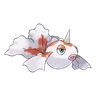 goldeen