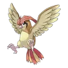 pidgeotto