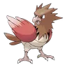 spearow