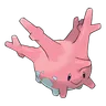 corsola