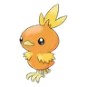 torchic