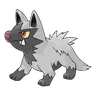 poochyena