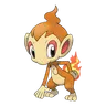 chimchar