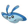 mantyke