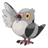 pidove