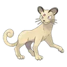 persian