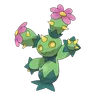 maractus