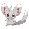 minccino