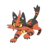 torracat