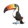 toucannon