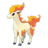 ponyta
